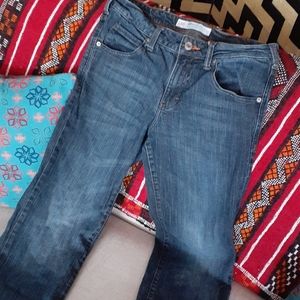 Men's dark wash Lee Modern Series Jean's 30x30